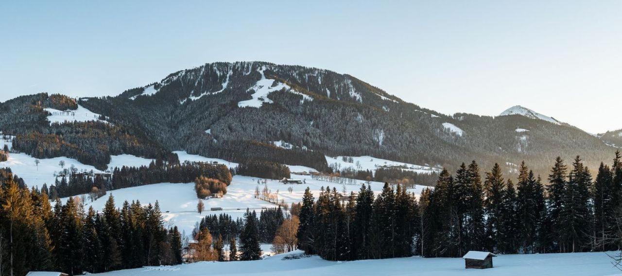 Ferienwohnung Bergliebe Scheffau am Wilden Kaiser Exterior foto
